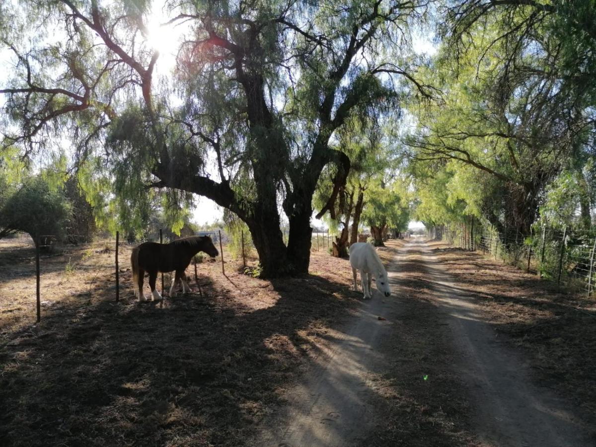 فندق Doornfontein Guest Farm كرادوك المظهر الخارجي الصورة