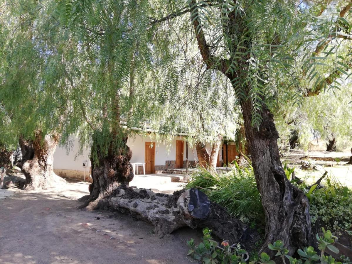 فندق Doornfontein Guest Farm كرادوك المظهر الخارجي الصورة