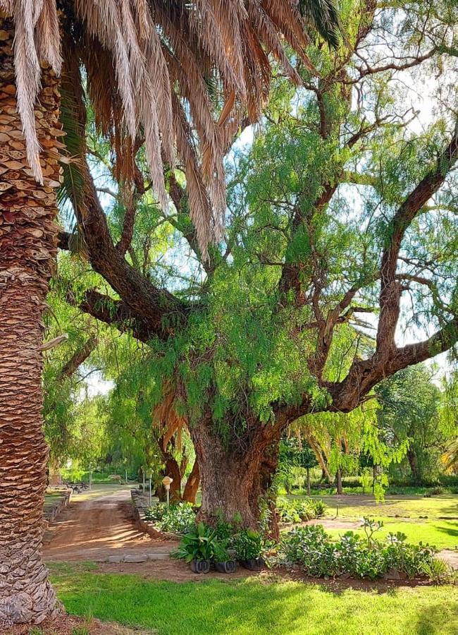 فندق Doornfontein Guest Farm كرادوك المظهر الخارجي الصورة